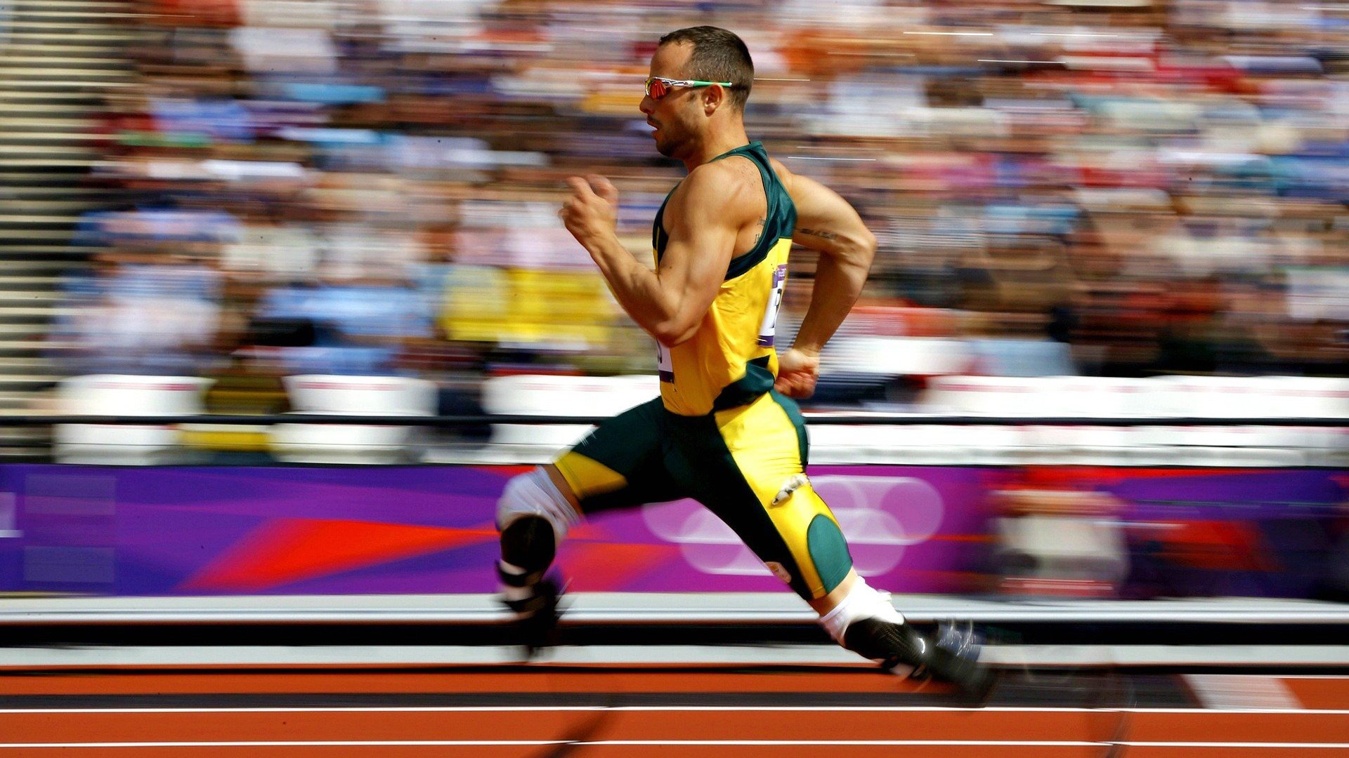 特别报道游泳比赛技术革新，游泳专业比赛